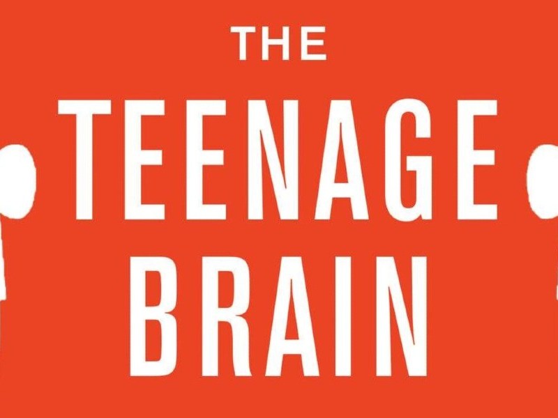 The Teenage Brain – Under&nbsp;Construction